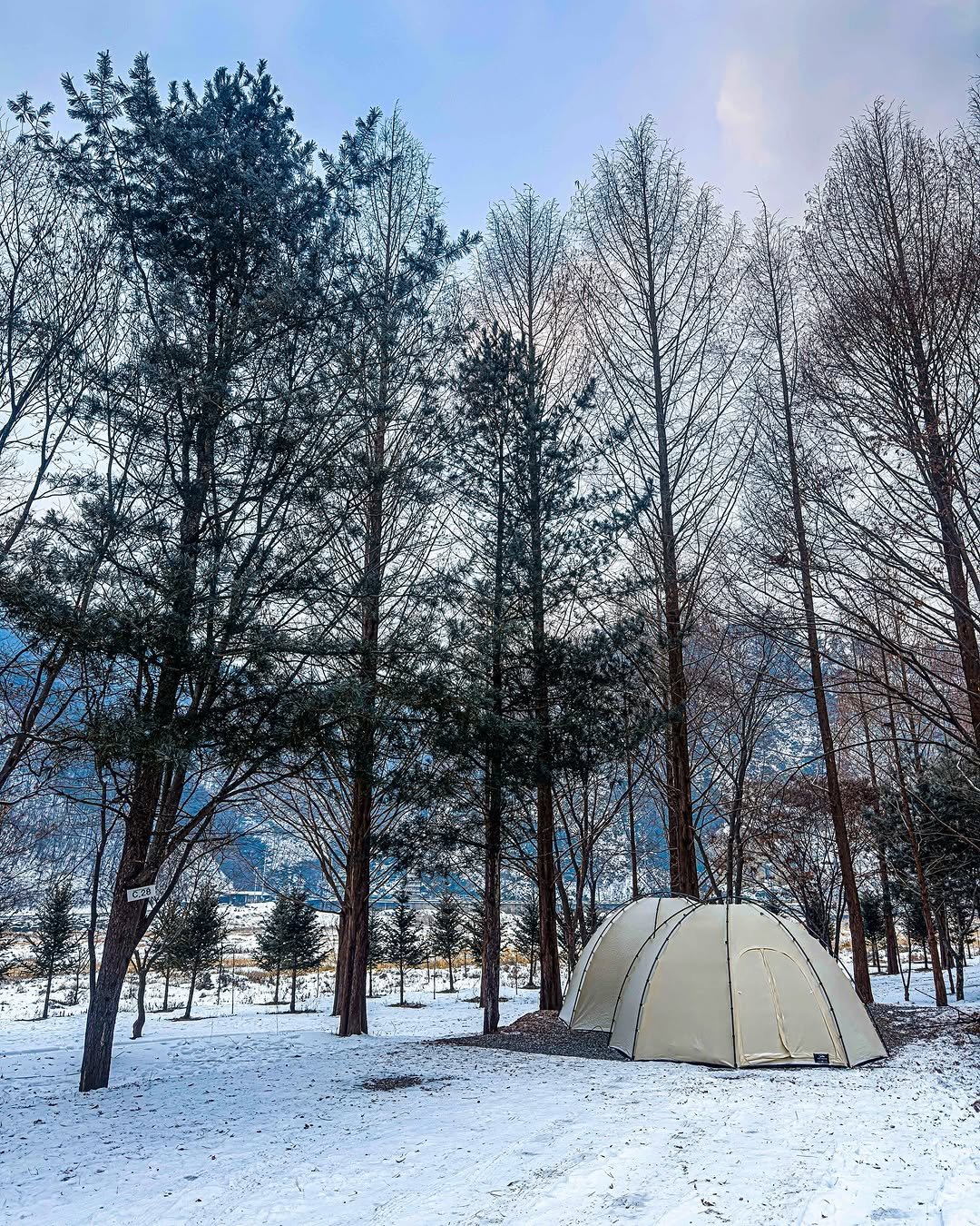 Photo by 엔돌핑☻ l 캠핑정보 • 캠핑장 • 아웃도어 l on January 13, 2025.