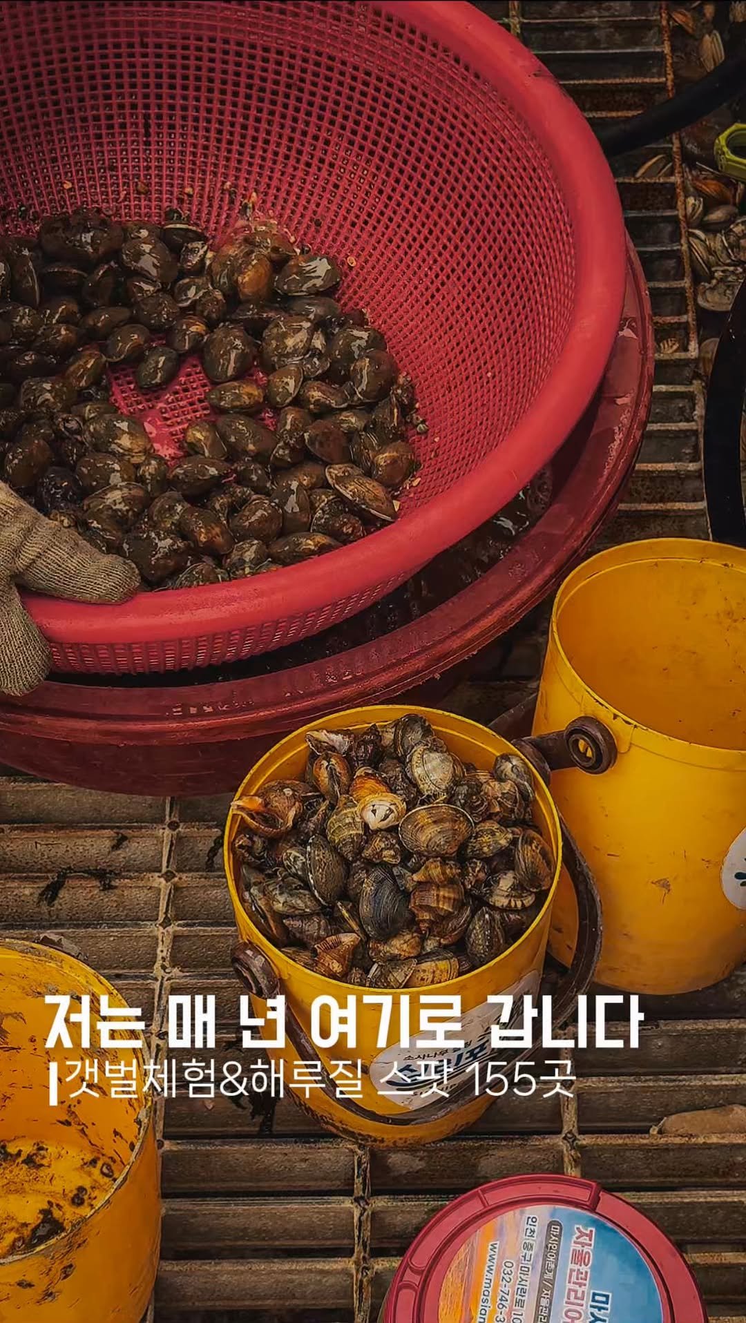 endor._.camping 게시물 이미지: 가을이 코 앞인데 뭐 재미난거 없을까?’ 라고 생각되신다면,

[🍂가을에 갯벌체험...