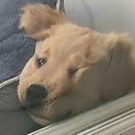 0_713travel 프로필 사진