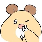 banggu.luv 프로필 사진