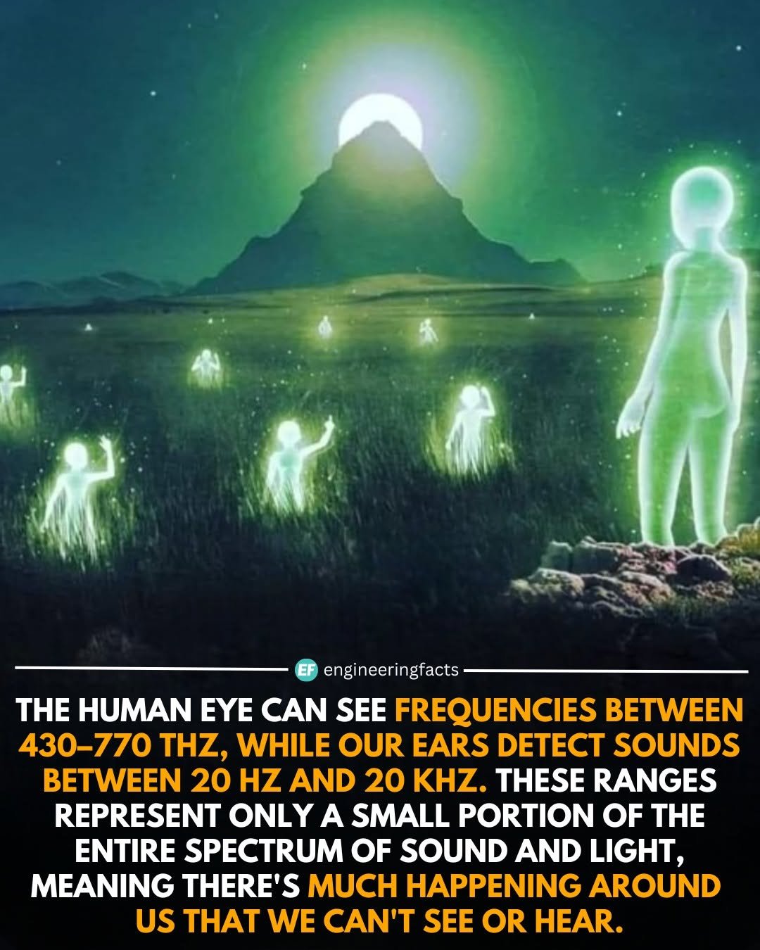 Photo by Engineering Facts 🇺🇸 on December 01, 2025. May be an image of text that says 'engineeringfacts THE HUMAN EYE CAN SEE FREQUENCIES BETWEEN 430-770 THZ, WHILE OUR EARS DETECT SOUNDS BETWEEN 20 HZ AND 20 KHZ. THESE RANGES REPRESENT ONLY A SMALL PORTION OF THE ENTIRE SPECTRUM OF SOUND AND LIGHT, MEANING THERE'S MUCH HAPPENING AROUND US WE CAN'T SEE OR HEAR.'.