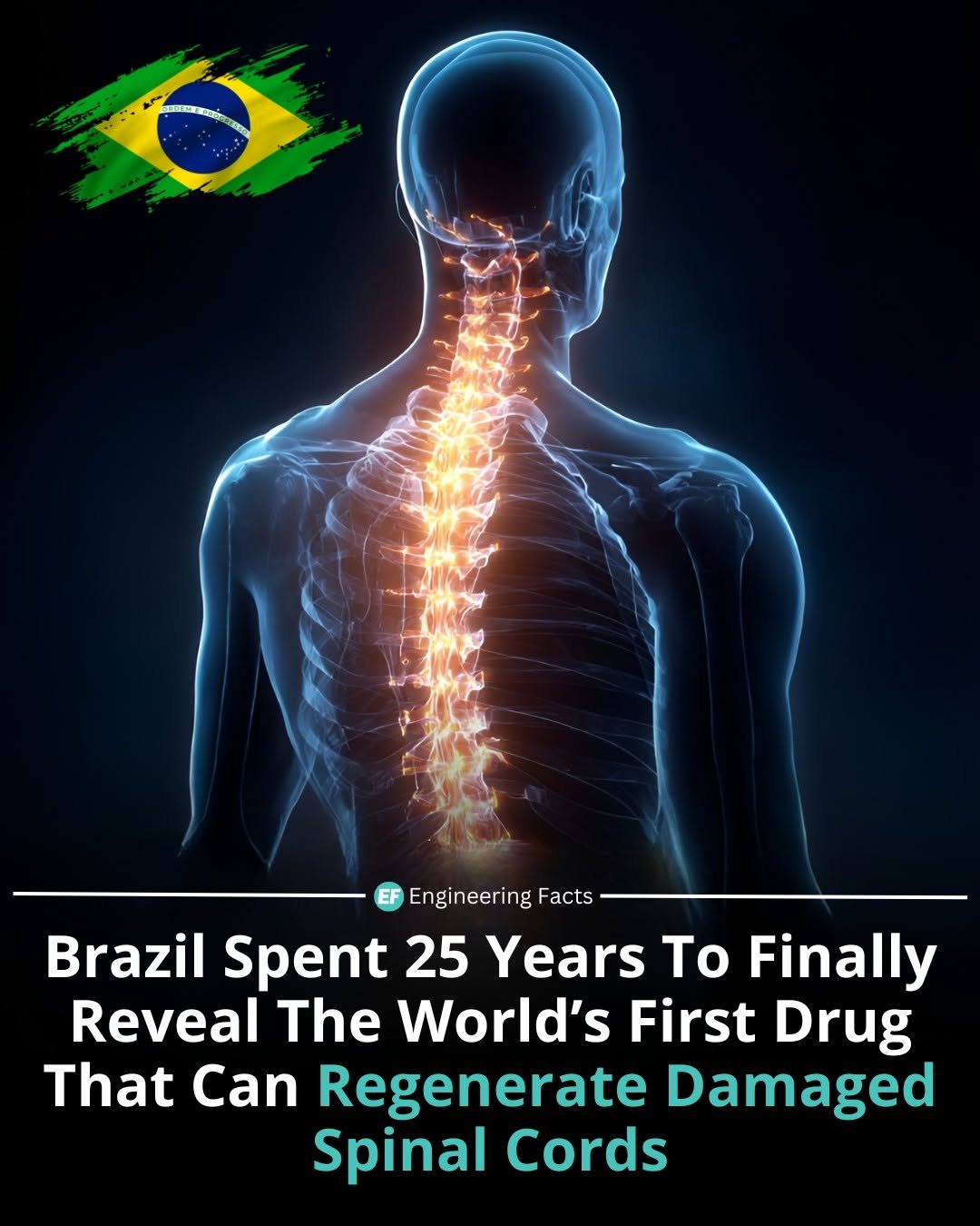 Photo by Engineering Facts 🇺🇸 on December 02, 2025. May be an image of xray and text that says 'Kag EE Engineering Facts Brazil Spent 25 Years To Finally Reveal The World's First Drug That Can Regenerate Damaged Spinal Cords'.