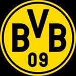 bvb09 프로필 사진