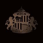 sunderlandafc 프로필 사진