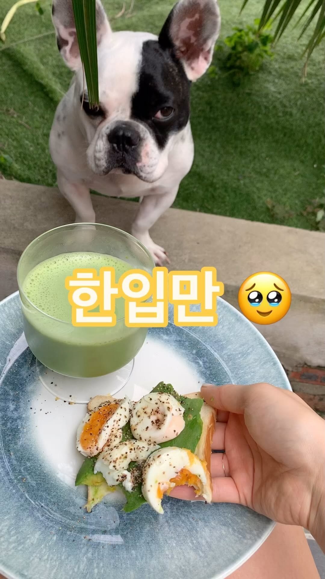 english1boon 게시물 이미지: 한입만🥹
Can I have a bite?
캔아이 해버 바잍?
캔아이 해버...