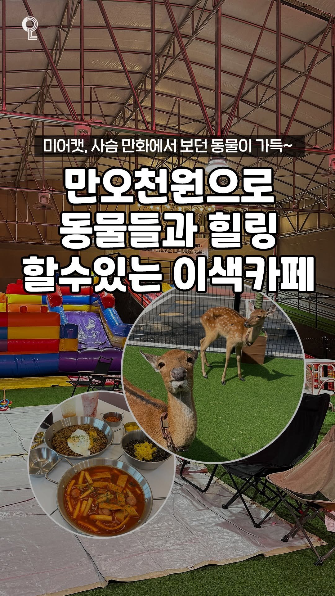 enjoy.pyeongtaek.osan.anseong 게시물 이미지: 15,000원에 힐링 가득할 수 있는
평택 애니멀클럽을 아시나요?!

평택 도심...