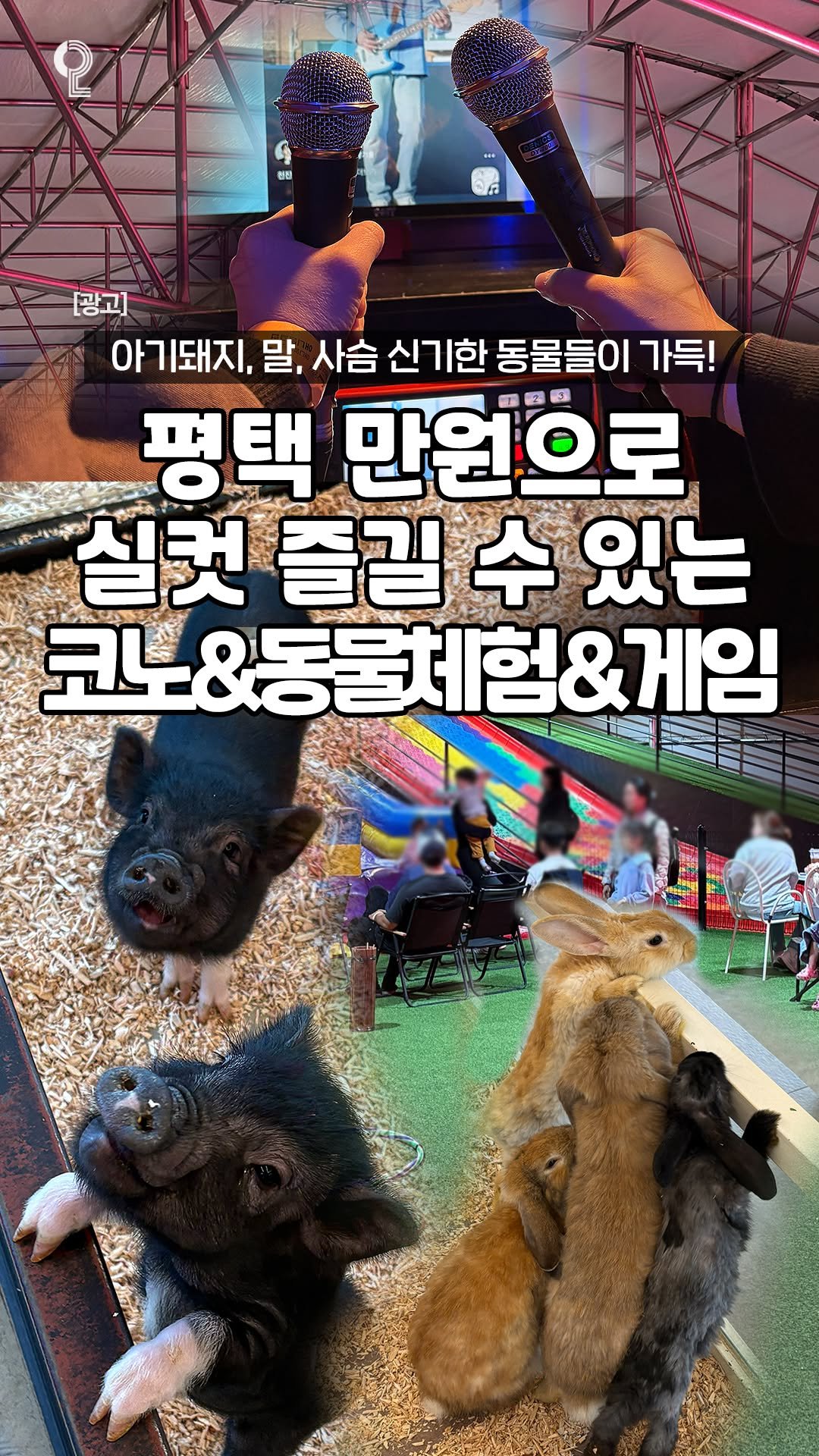 enjoy.pyeongtaek.osan.anseong 게시물 이미지: 💫평택에서 단돈 만원으로 동물들이랑
코노까지 실-컷 즐길 수 있는...