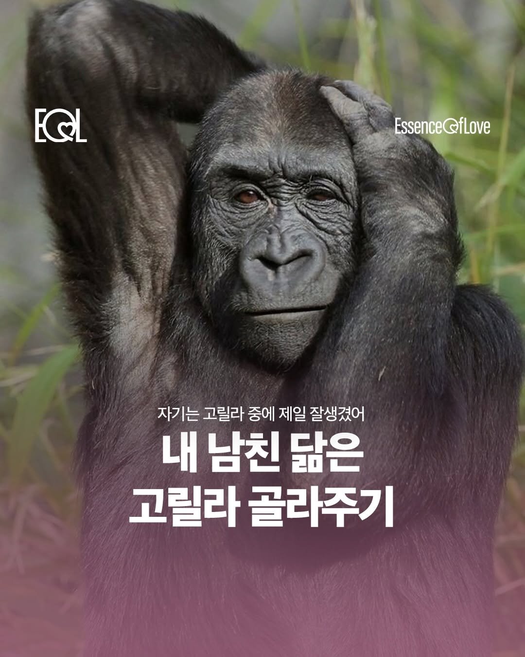 eol.essenceoflove 게시물 이미지: 차마 남친이 없어서 골라줄 수가 없어 아쉽다

커플들을 위한 콘텐츠...