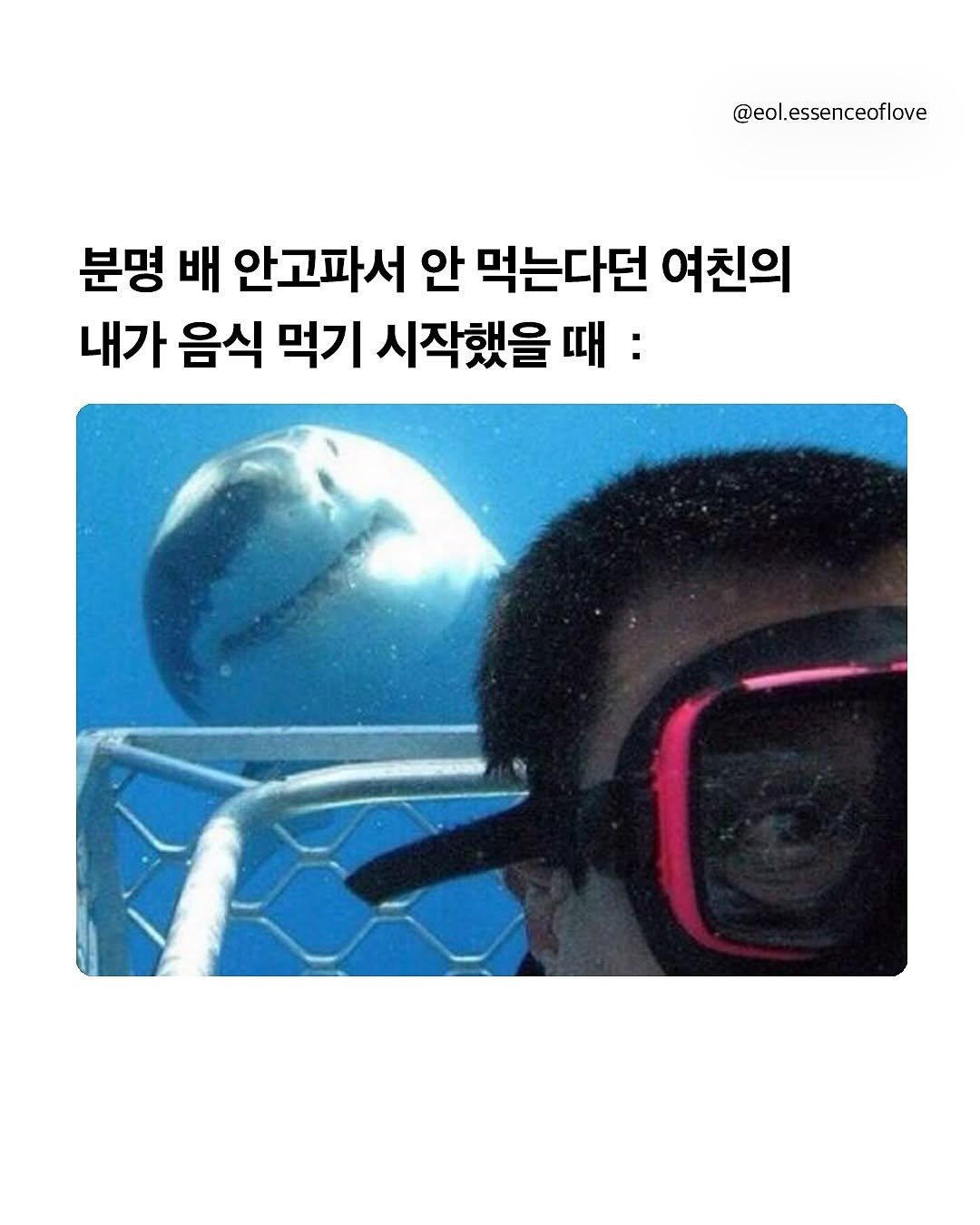 Photo by EOL 이오엘 on November 04, 2025. May be an image of wetsuit and text that says '@eol.essenceoflove 분명 배 안고파서 안 먹는다던 여친의 내가 음식 먹기 시작했을 때:'.