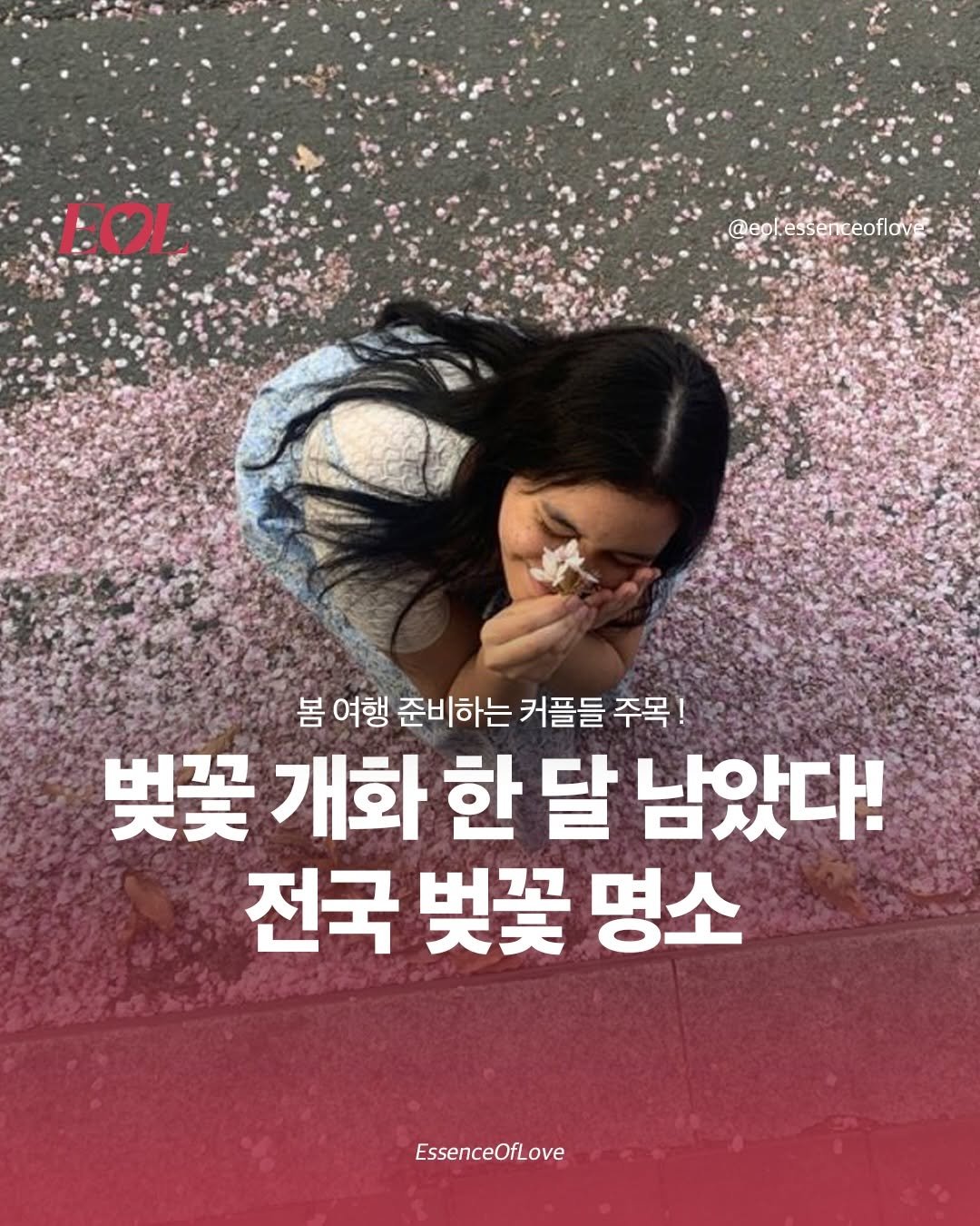 Photo by EOL 이오엘 on February 13, 2026. May be an image of poster and text that says 'μοι @egj'essenceoflov @eo 봄 여행 준비하는 커플들 주목! 주목 벚꽃개화 哭奖 개화 한 달 남았다! 전국 벚꽃 명소 EssenceOfLove'.