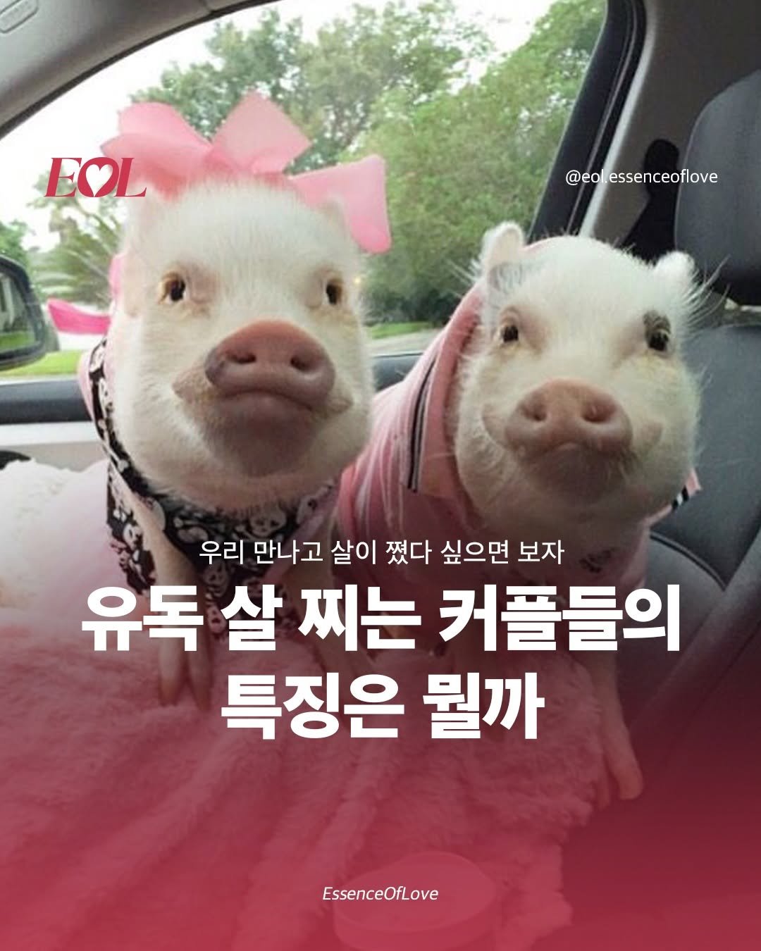 Photo by EOL 이오엘 on December 26, 2025. May be an image of text that says 'EOL @eol.essenceoflove @eol. 우리 만나고 살이 쪘다 싶으면 보자 유독 살 찌는 커플들의 특징은 뭘까 EssenceOfLove'.