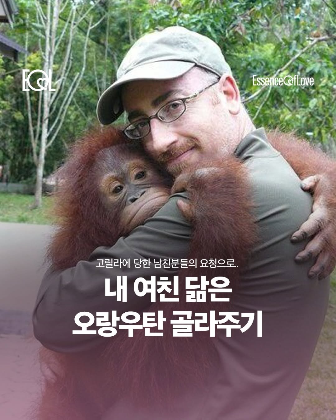 eol.essenceoflove 게시물 이미지: 고릴라 편에 당한 남친들의 반격

커플들을 위한 콘텐츠 @eol.essenceoflove ♥️