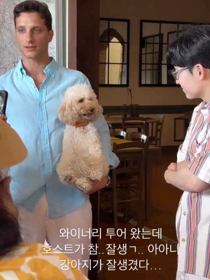 eolmiii 게시물 이미지: 협박메세지 받음..이탈리아에서 한국올때 안 데려오면 가만 안 두겠다고.. 
📍정보:...