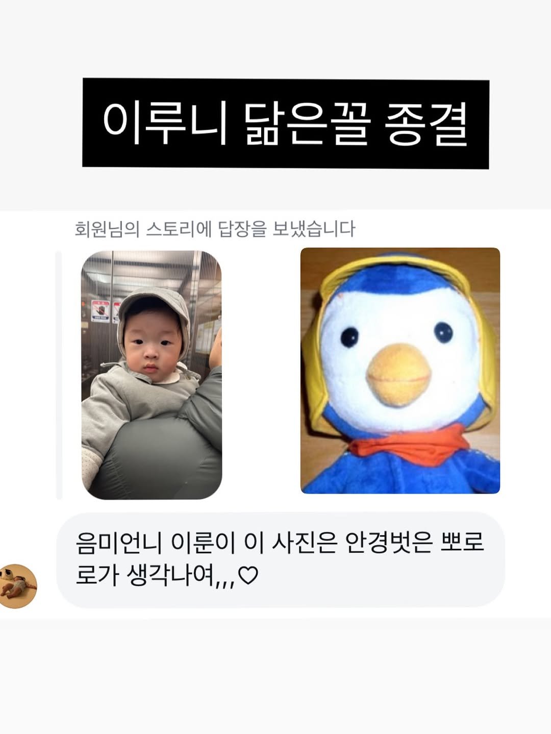 Photo by 얼미부부 on December 16, 2025. May be an image of penguin and text that says '이루니 닮은꼴 종결 회원님의 스토리에 답장을 보냈습니다 음미언니 이룬이 이 사진은 안경벗은 뽀로 로가 생각나여,,,'.