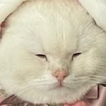 s_come_again 프로필 사진