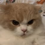 mmang_9_ 프로필 사진