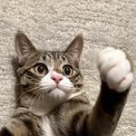 nuky_lucky 프로필 사진