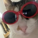 gguriontop 프로필 사진