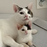 cooo____k 프로필 사진