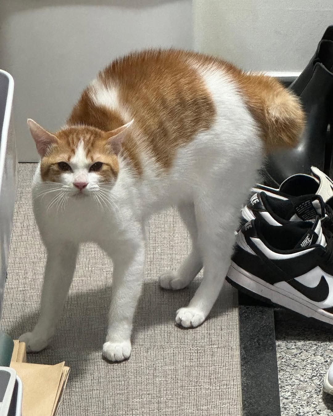 Photo by 엄된장 on November 22, 2023.