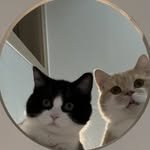 yulmoo_kong 프로필 사진