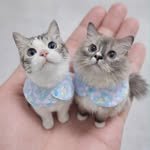 bori__ssal__ 프로필 사진