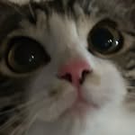 bing.suu_ 프로필 사진