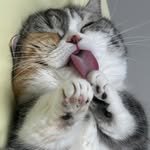 ggoooooong 프로필 사진