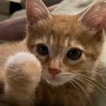 luv_derry 프로필 사진