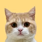 man_jo.o 프로필 사진