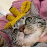 duckboon._.kim 프로필 사진