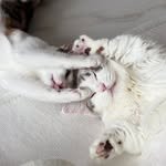 tori_mimi_ 프로필 사진