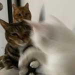 5757_house 프로필 사진