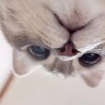iam_munji_ 프로필 사진