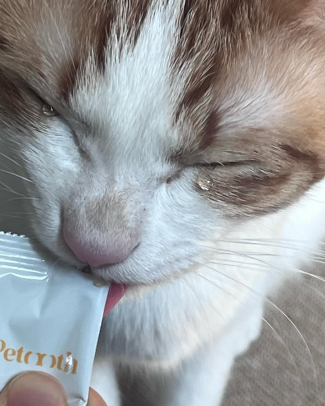 Photo by 엄된장 on April 14, 2024.