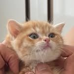 moonddonge 프로필 사진