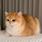 ro__doo 프로필 사진