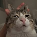 im.chorong2 프로필 사진