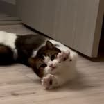 _hodu._.maru 프로필 사진