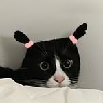 yeontan.sanai 프로필 사진