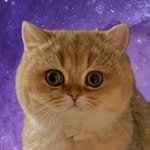 zzinnbbang_ 프로필 사진