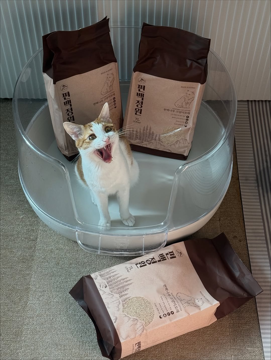 Photo by 엄된장 on November 16, 2025. May be an image of coffee cup, petfood, cornflower and text.