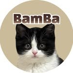 neko_bamba 프로필 사진