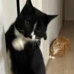 gyong2mang9 프로필 사진