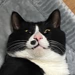 itsme_jumsik 프로필 사진