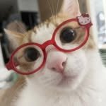 eomdoenjang 인스타그램 프로필 사진