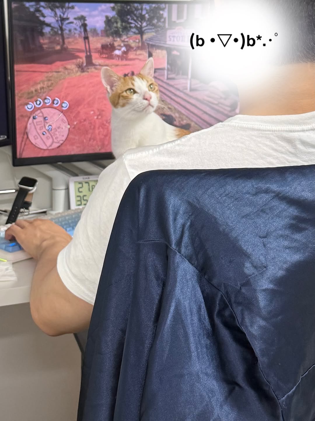 Photo by 엄된장 in 게임 속. May be a meme of kitten, Abyssinian cat and text that says 'STOR (b (b.)*..° )b*..° လမ oл EN 27P 2 35'.