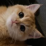 im_keumdong 프로필 사진