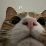 hhu._.chu 프로필 사진