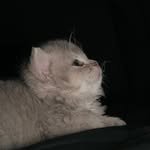 celin__park 프로필 사진